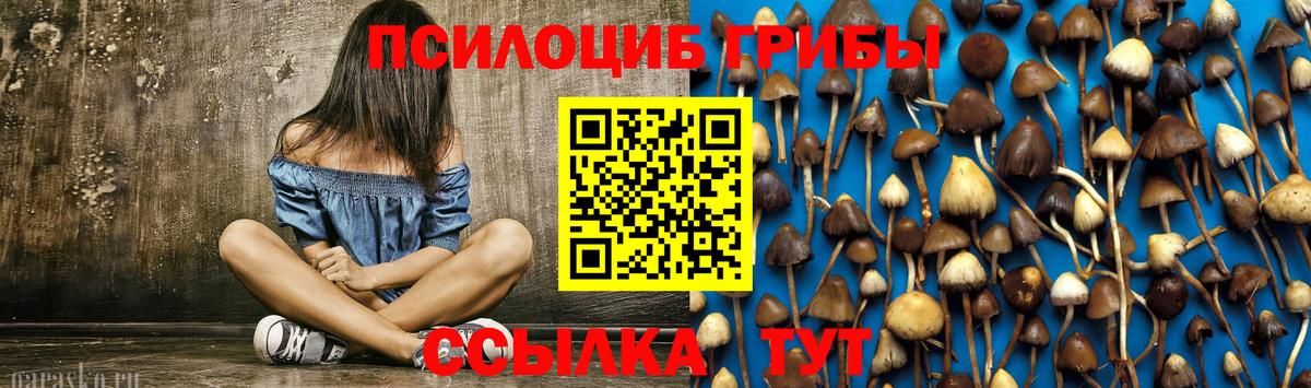 купить наркоту  Галлюциногенные грибы GOLDEN TEACHER  Вход с VPN  Заводоуковск 